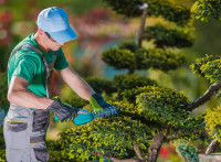 General labourer - landscaping for SMILER SERVICES LTD