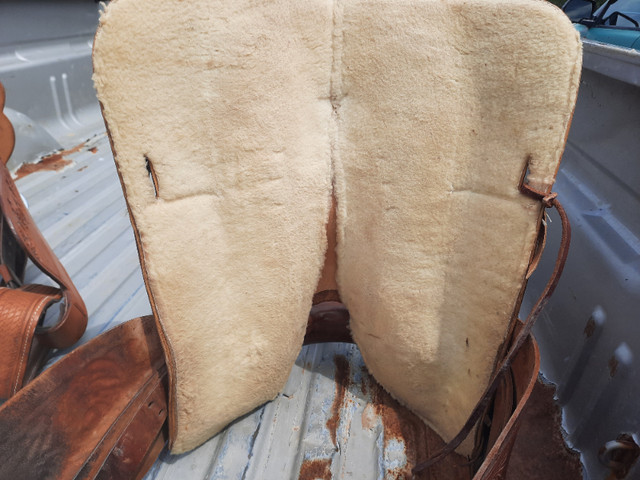 western saddle in Equestrian & Livestock Accessories in Annapolis Valley - Image 2