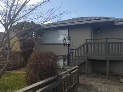Recently updated 2 bedroom basement suite, 1 bath, fridge, stove, dishwasher, washer/dryer and windo...