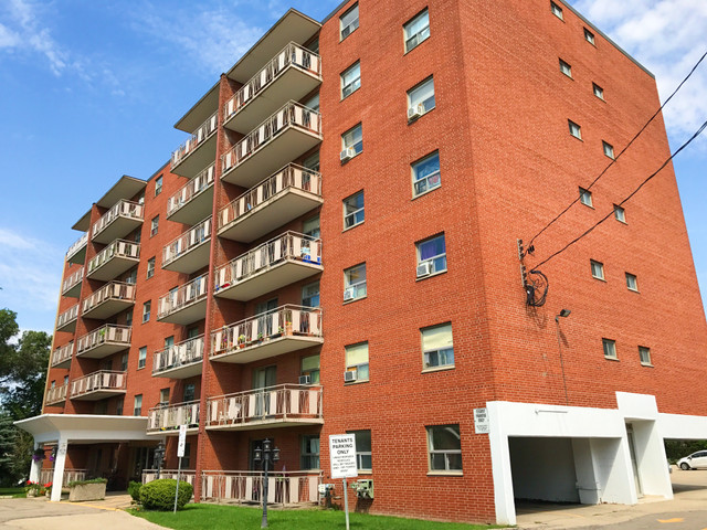 Aberdeen Court Apartments - 1 Bedroom Apartment for Rent in Long Term Rentals in Hamilton - Image 3