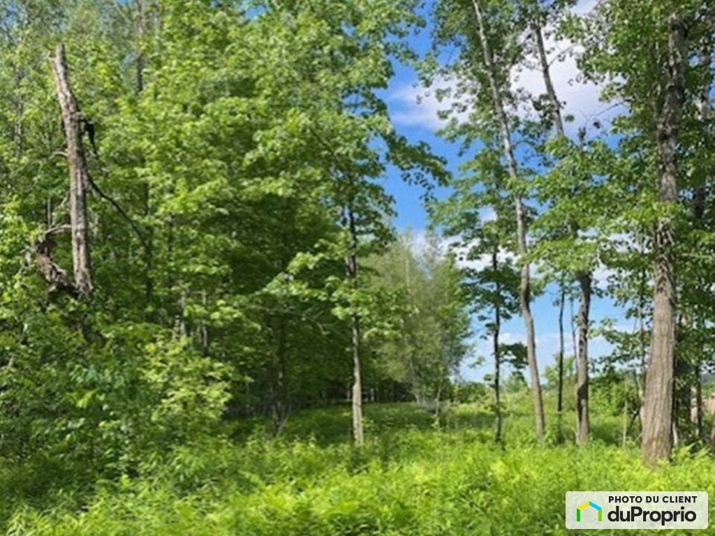 $595,000 - Wood Lot for sale in St-Valerien-De-Milton — photo 2