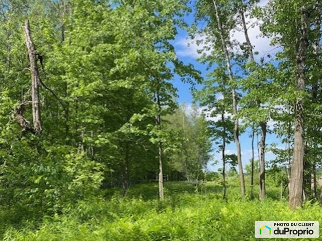 $595,000 - Wood Lot for sale in St-Valerien-De-Milton — photo 2