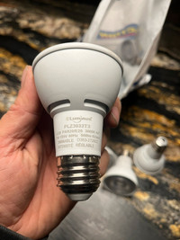 par 20 led light bulbs 