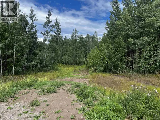 LOT A DL 5084 AIRPORT ROAD Fraser Lake, British Columbia in Land for Sale in Burns Lake - Image 8