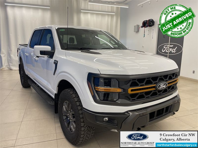 2025 FORD F-150 Tremor in Cars & Trucks in Calgary - Image 4