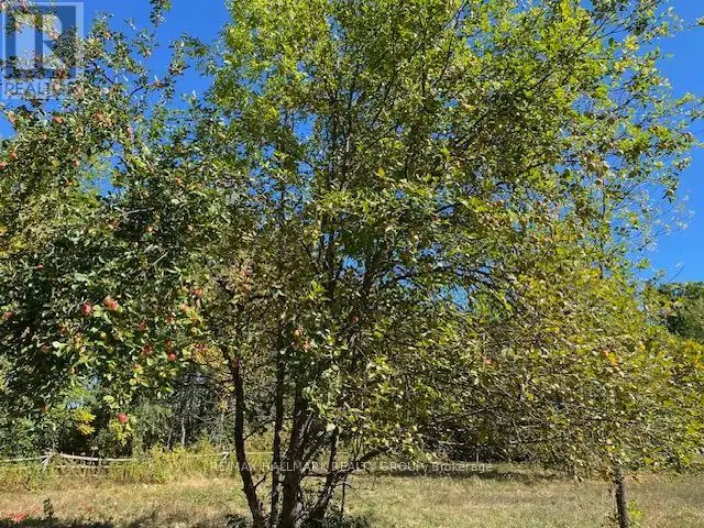LOT 28 R13 ROAD Rideau Lakes, Ontario in Land for Sale in Ottawa - Image 17