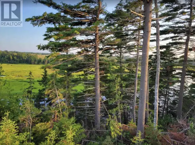 LOT 6 Tattrie Settlement Road French River, Nova Scotia in Land for Sale in New Glasgow - Image 6