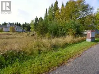 60.70' x 101.71' residential lot in a newer subdivision. Walking trails and Pronger Park nearby. Onl...