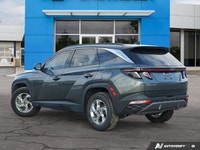 The expansive panoramic sunroof of this 2023 Hyundai Tucson Preferred offers breathtaking views, tra... (image 3)