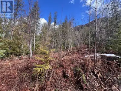 What a location! Just minutes away from one of BC’s most beautiful lakes and the Village of Slocan,...