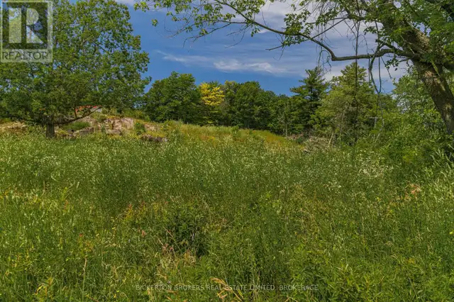 790 KING STREET W Gananoque, Ontario in Land for Sale in Kingston - Image 14