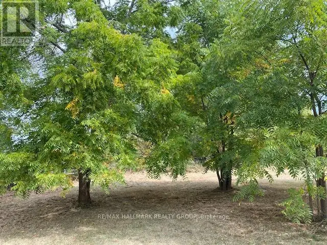 LOT 28 R13 ROAD Rideau Lakes, Ontario in Land for Sale in Ottawa - Image 23