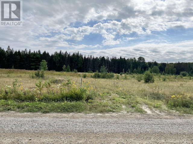 937 Chevis RD Huron Shores, Ontario in Land for Sale in Sault Ste. Marie - Image 3