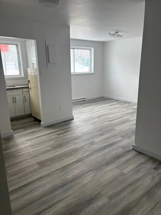 Laval - Très beau 3 1/2 Metro Concorde  - Libre