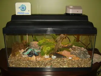Top of the line accessories for Aquarium 20+ gallon, View more