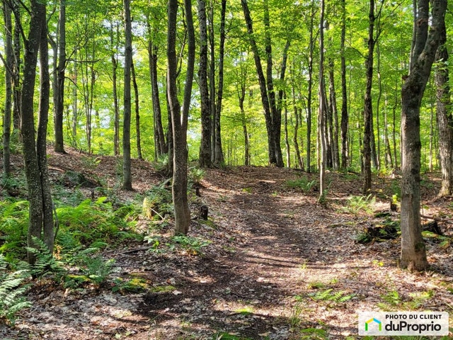 $599,000 - Wood Lot for sale in Morin-Heights — photo 1