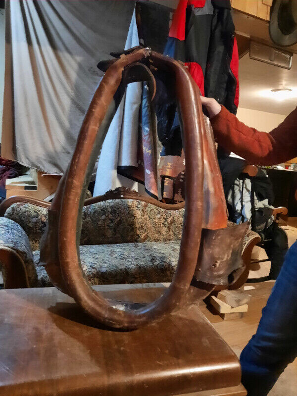 Pulling Collar in Equestrian & Livestock Accessories in Annapolis Valley