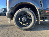 Welcome to Freedom Ford. The 2024 Ford Super Duty is a great vehicle for those drivers who need more... (image 2)