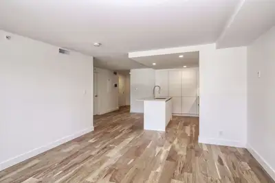 fully renovated one bedroom apartment near McGill - ID 3563, View more