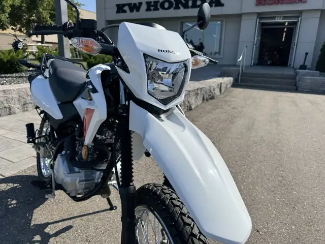 2025 Honda XR150L Standard in Street, Cruisers & Choppers in Kitchener / Waterloo - Image 10
