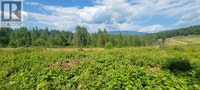 DL 2620 YELLOWHEAD Highway Unit# LOT 1 Clearwater, British Colum Kamloops British Columbia Preview