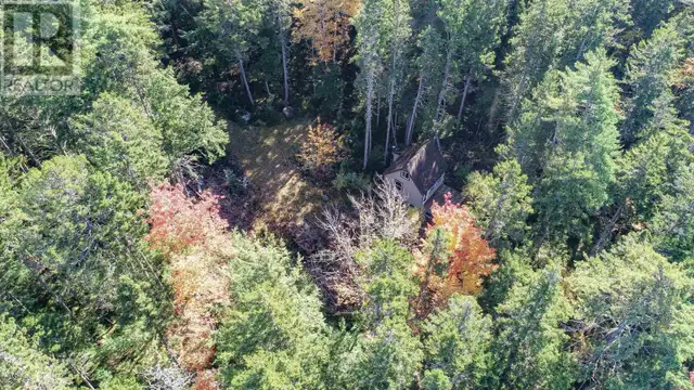 Lot 16 +Cabin Bridge Street Sherbrooke Lake, Nova Scotia in Houses for Sale in New Glasgow - Image 12