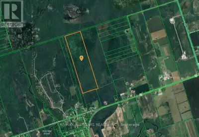 Excellent opportunity to own a private 81.85 acres of treed land minutes from the Town of Udora. Pro...