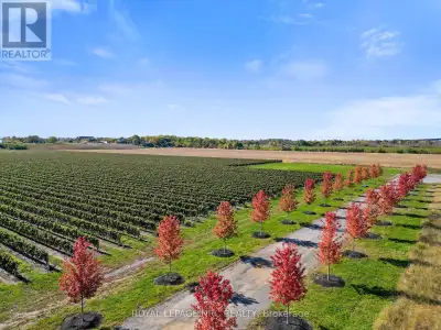 Unique ownership opportunity. Large agricultural acreage which links, this particular traffic artery...