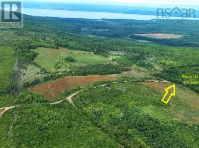 3.5 acres in a rural setting. Road is maintained. Ideal for a very private get away spot. Not far fr...