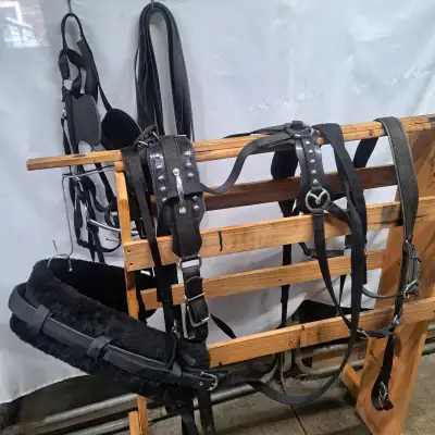HAFLINGER DRIVING HARNESS, View more