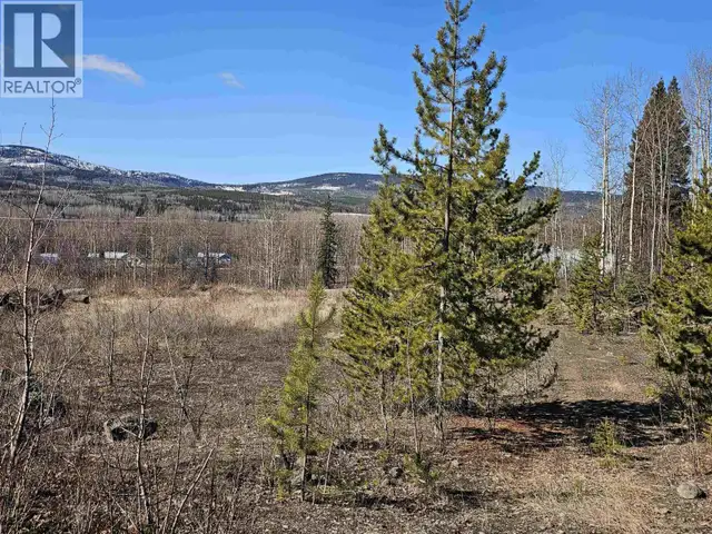 970 NASH ROAD Burns Lake, British Columbia in Land for Sale in Burns Lake - Image 5
