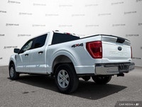 Snag a deal on this 2023 Ford F-150 while we have it. Comfortable yet agile, its low maintenance Aut... (image 3)