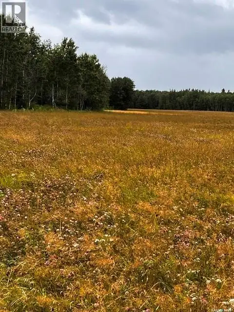 Larsen Ranch Big River Rm No. 555, Saskatchewan in Land for Sale in Meadow Lake - Image 6