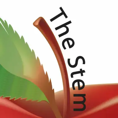 Calgary iPhone & iPad Screen Repair & More- The Stem Group, View more