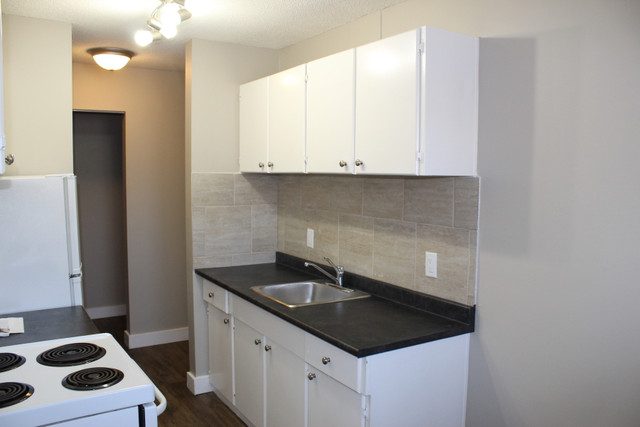 Oliver Apartment For Rent | McCam 1 Apartments in Long Term Rentals in Edmonton - Image 2