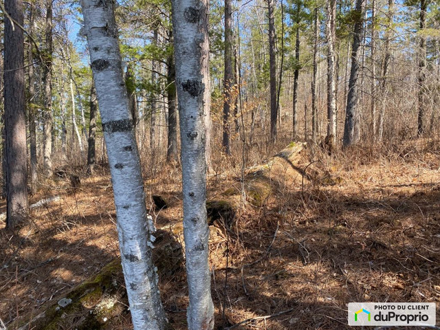 94 900$ - Terrain résidentiel à Ste-Thérèse-De-La-Gatineau in Land for Sale in Gatineau - Image 3