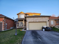 Ardagh To Batteaux To Penvill for Sale in Barrie