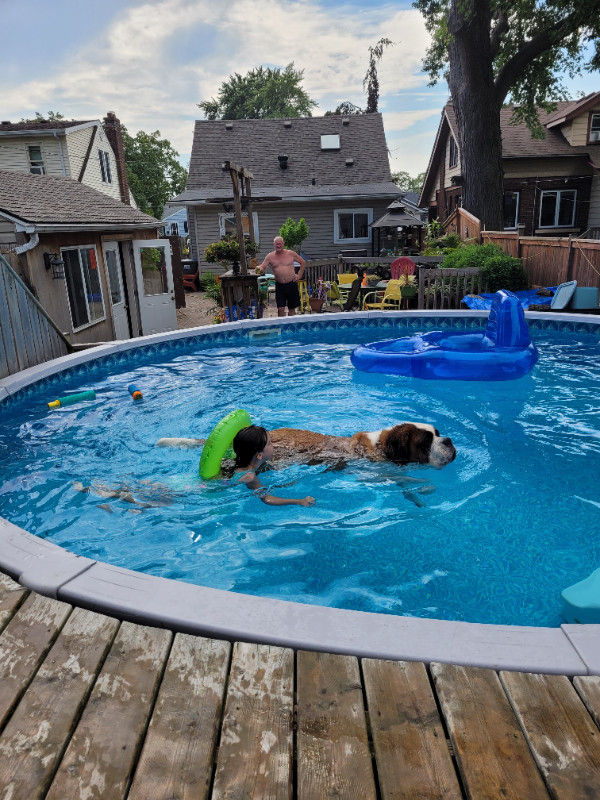 18 ft above ground pool with deck and all accessories. in Hot Tubs & Pools in Windsor Region - Image 4