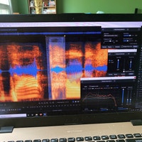 Podcast audio editing/ editor Mississauga / Peel Region Toronto (GTA) Preview