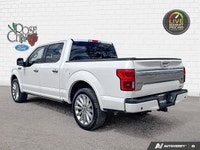 Rose City Ford | Heated Seats | Cooled Seats | Remote Start | Moonroof | Navigation | Power Running... (image 3)