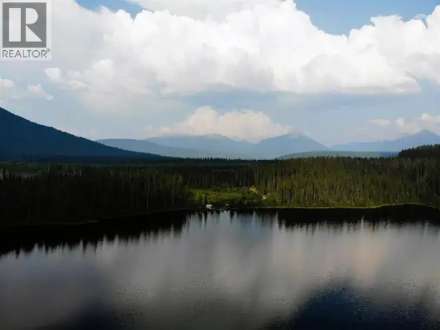 5900 BOWRON LAKE ROAD Wells, British Columbia in Houses for Sale in Quesnel - Image 7
