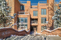 302, 350 4 Avenue NE Calgary, Alberta