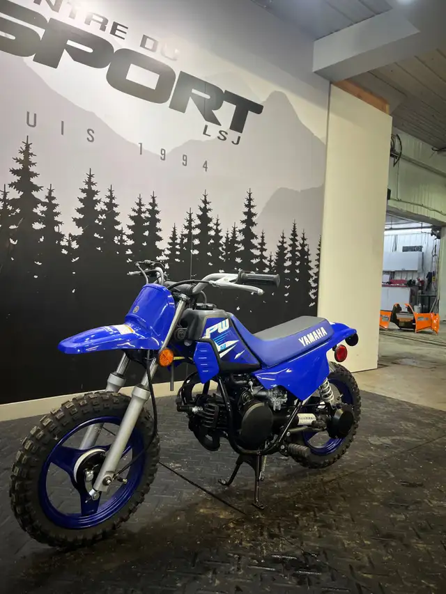 2025 Yamaha PW50 MOTO ECOLE DISPONIBLE MAINTENANT in Other in Lac-Saint-Jean - Image 4