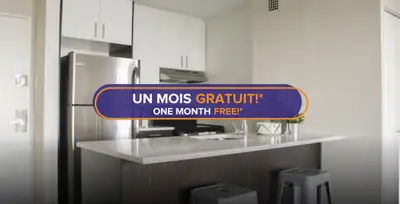 Apartment for Rent at 1101 Rachel, Le Plateau Mont-Royal