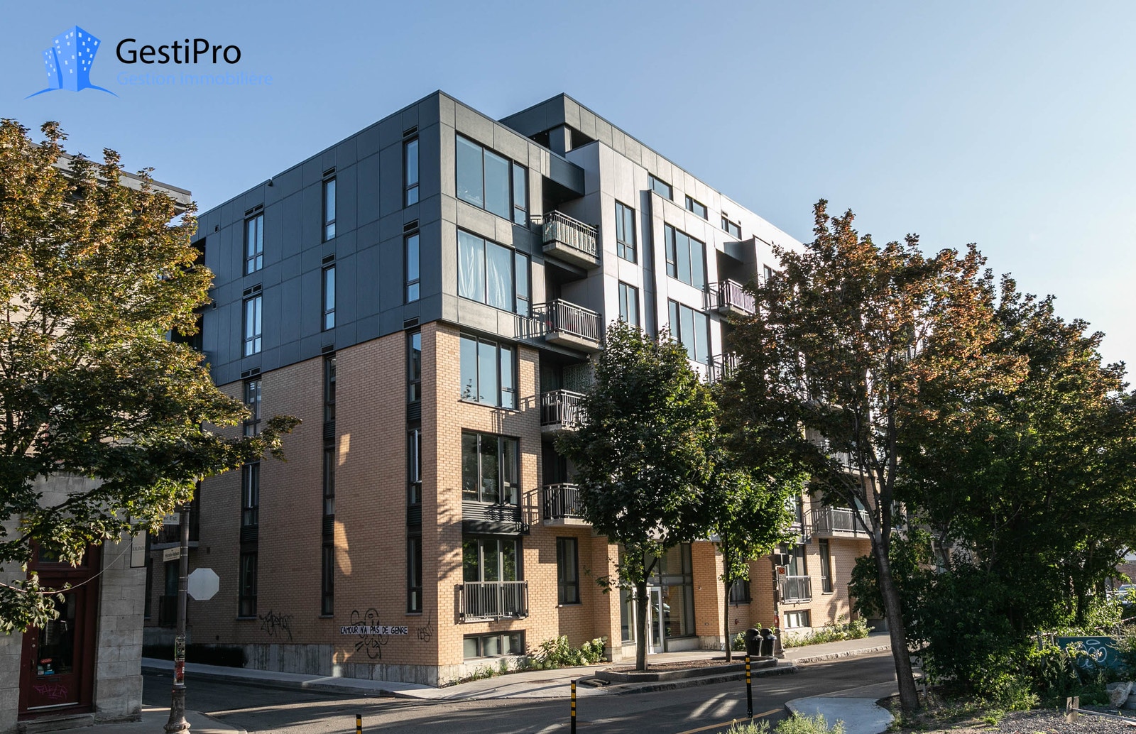 175 St-Vallier Est — photo 3