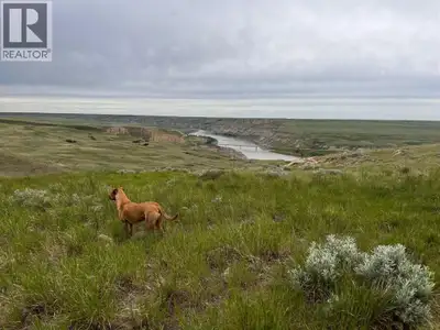 Dreaming of increasing your grazing acres for 2026 with good water access? These could be the grazin...