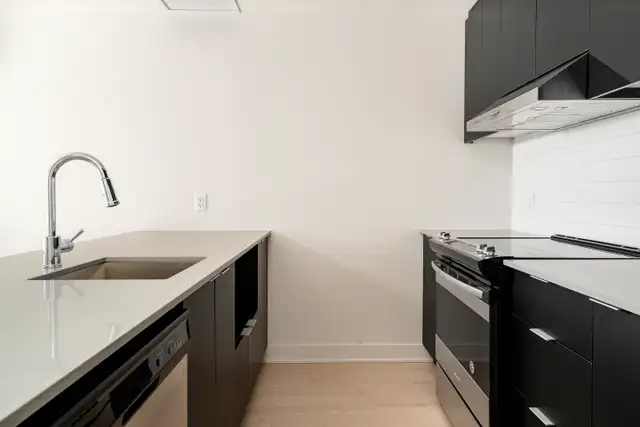 Condo Loft LUXE 5 1/2 (2 floors) for rent - Griffintown62864750454531123