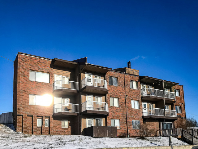 Parkview - Studio Apartment for Rent in Long Term Rentals in Dawson Creek - Image 4