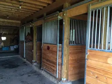 Horse Boarding Callander Area in Equestrian & Livestock Accessories in North Bay - Image 3