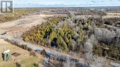 Wonderfully natural rural property with 1.38 acres within 20 minutes of downtown Napanee and an easy...